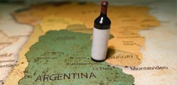 Wines From South America